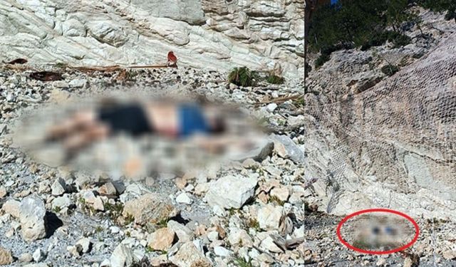 Belçikalı turist kayalıklardan düşerek hayatını kaybetti