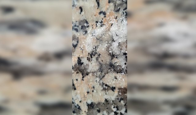 Antalya’da şeker paketinden karınca çıktı!