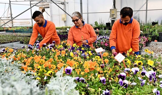 Muratpaşa Belediyesi üretiyor, Antalya çiçek açıyor