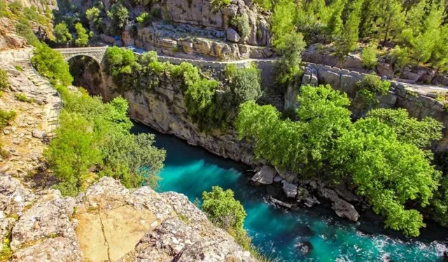 Aliye Coşar: “Milli parklar rant kapısına dönüştürülüyor”