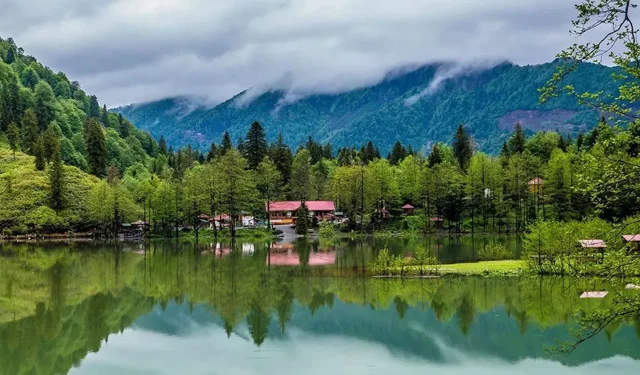 Milli parklar için verilen o karar, çevrecileri isyan ettirdi: 99 yıllık devir mi başlıyor?