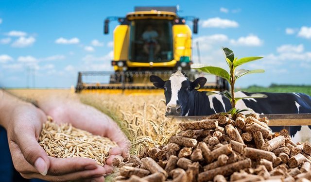 Tarımda maliyetler arttı! Girdi fiyatları çiftçiyi zorluyor