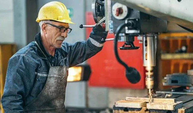 Torun tombalak sevmesi gereken emekliler iş arıyor! 60 yaş üstü rakamlar üzdü