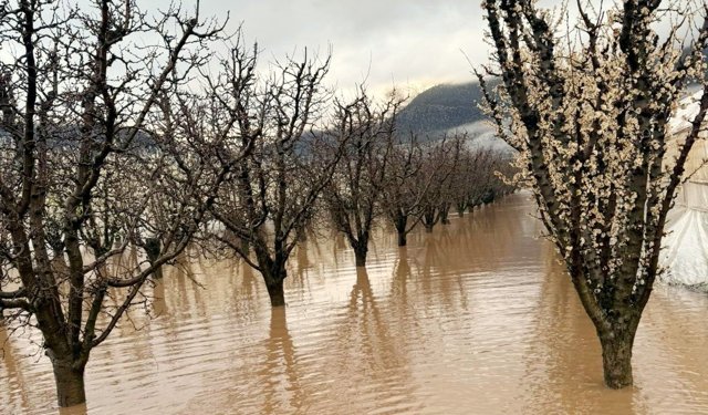Elmalı'yı sel aldı! Dereler taştı, mahsuller sular altında kaldı