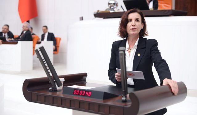 CHP’li Aliye Coşar: “Turizmde ulaşım sorunu çözülemiyor”