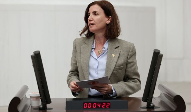 Aliye Coşar: “Kadın politikaları, günü kurtarmaya yönelik”