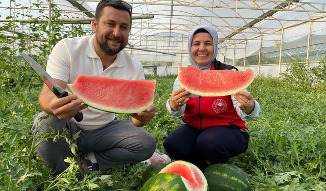 Antalya’da ilk karpuz heyecanı! Üreticide 40, tezgâhta 60 lira
