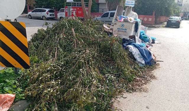 Mahallede çöp isyanı! Dinleyen yok, duyan yok