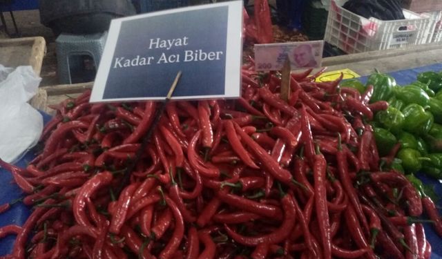 Antalya’da biberin tadı kaçtı, esnaf isyan etti: “Hayat kadar acı”