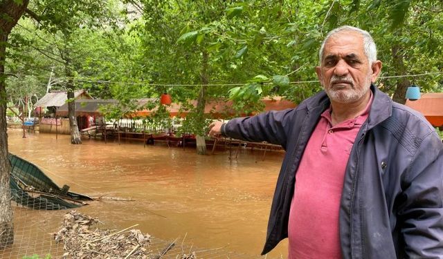 Akdeniz’in kıyısı, görenleri hayrete düşürdü!