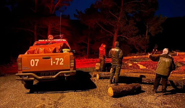 Antalya’da ormanlık alanda kaçak kesim! Suçüstü yakalandılar