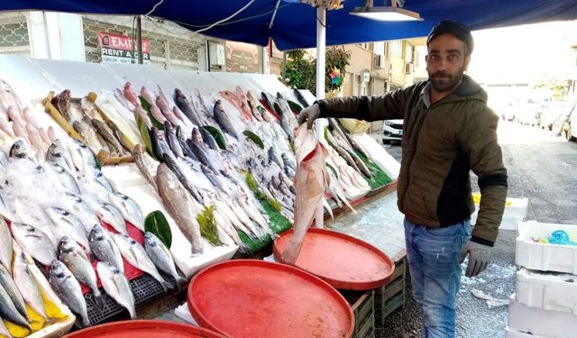 Antalya'da balık pazarı coştu! Hamsi 200 TL