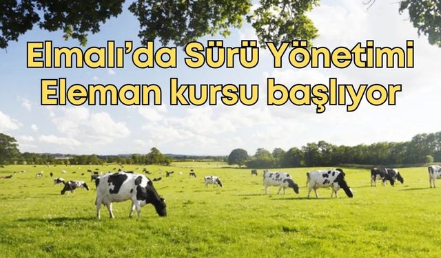 Elmalı’da Sürü Yönetimi Eleman kursu başlıyor