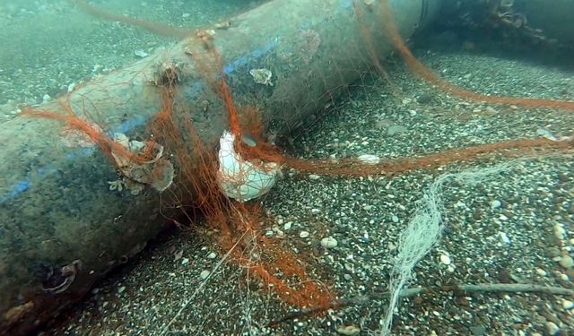 416 bin metrekare hayalet ağ temizlendi: 1,5 milyon canlı kurtarıldı