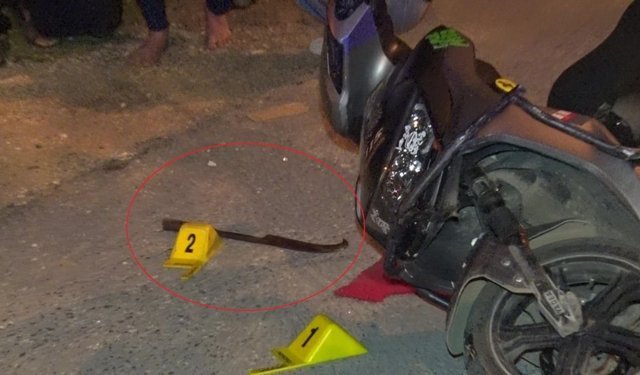 Teksas değil Antalya! Tara ile saldırdılar