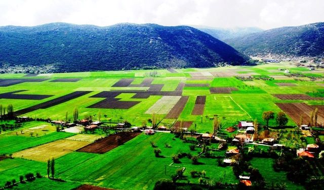 Toprak, su ve gıdanın geleceği için işbirliği çağrısı