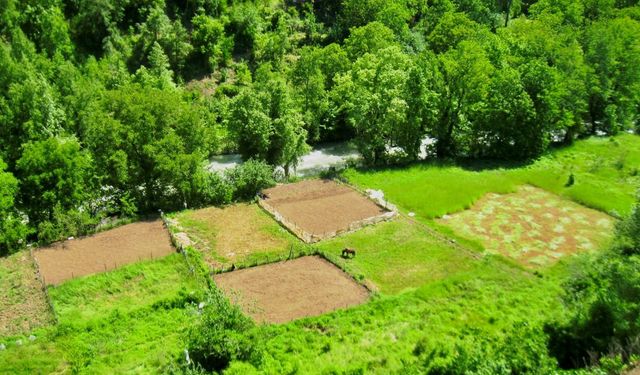 Tarımda geniş tabanlı örgütlenme adımı