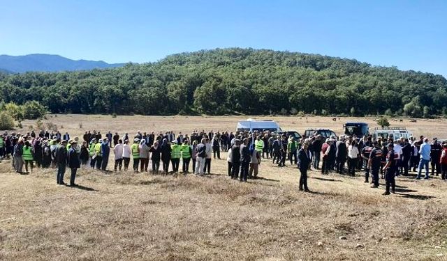 Tokat’ta 60 bin ağaç için hukuk savaşı!
