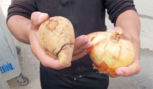 Antalya’da soğan ve patatesler çöpe atıldı
