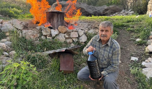 Torosların şifası dünyaya açıldı: Aksekili üretici 31 çeşit yağ üretiyor
