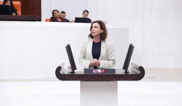Aliye Coşar: “Varlık barışı değil, hukukun üstünlüğü şart”