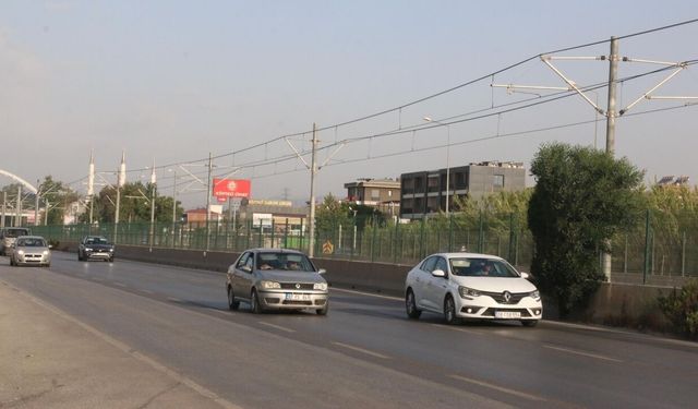 Antalya-Alanya yolunda şaşırtan görüntü: Yolun ortasında sessizce büyüdü!