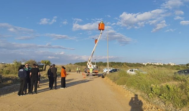 Caretta carettalar için kritik adım: Manavgat sahillerinde ışıklar kırmızıya döndü