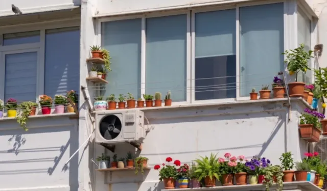 Balkondaki saksı size hapishaneye sokabilir!