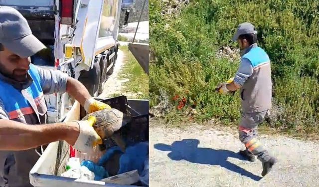 Alanya'da vicdansızlık: Ölüme terk ettiler