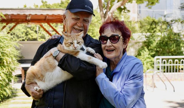 Antalya'da 80 yaşındaki çiftin mutluluk kaynağı: Kedileri Foça