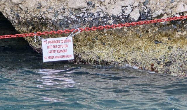 Kemer’de Akdeniz foklarının üreme mağarası koruma altına alındı!