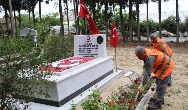Antalya’da seferberlik: Mezarlıklar hazırlanıyor, ücretsiz ulaşım geliyor