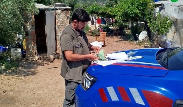 Finike'de yasa dışı keklik satışına operasyon