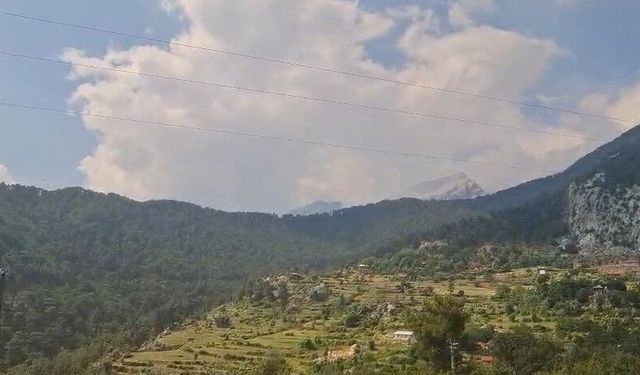 Serik’te yıldırım ormanı vurdu! 2 hektarlık alan zarar gördü
