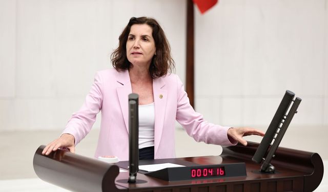 CHP’li Aliye Coşar TBMM’de seçim güvenliği tartışmasını gündeme taşıdı