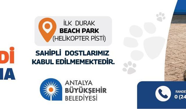 MOBİL SAHİPSİZ KEDİ KISIRLAŞTIRMA ÜNİTESİ DUYURUSU