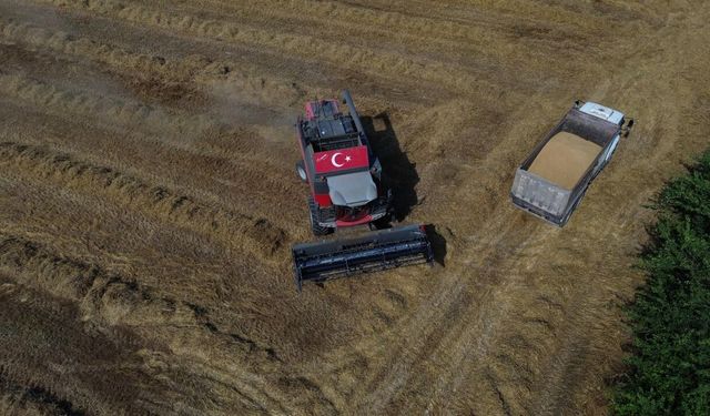 Aksu'da buğday hasadı gecikmeli başladı!