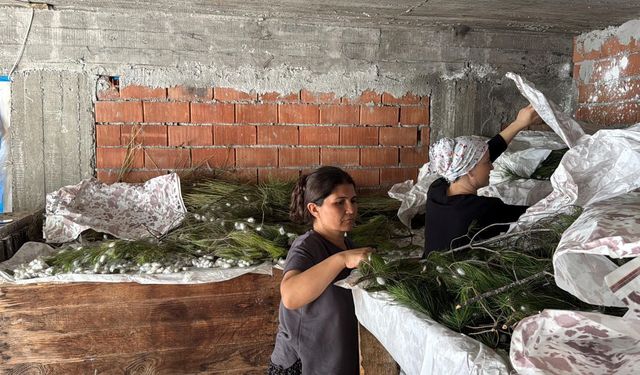 Evlerinin alt katında üretime başladılar! İpek böceğinden 80 bin lira gelir