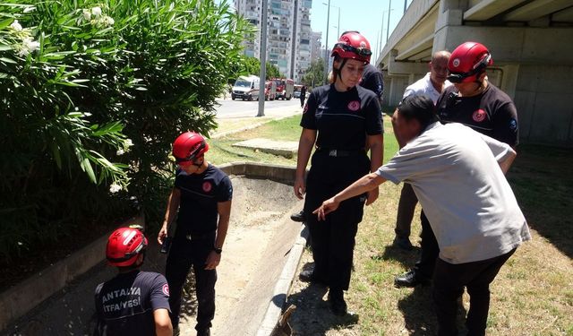 Antalya'da anne ve babasının gider borusuna sıkıştığını iddia etti!