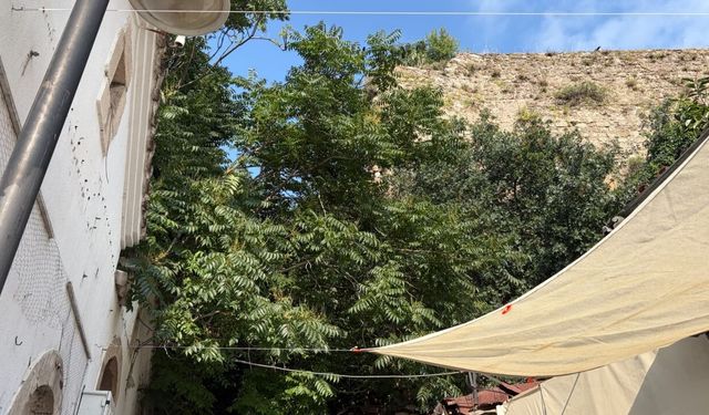 Kaleiçi'nde surları bağlayan kemer otların arasında kaldı!