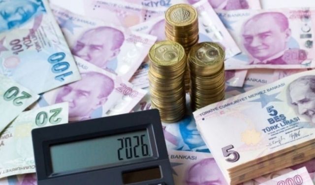 Vatandaşın bütçesi barınmaya ve gıdaya gidiyor!