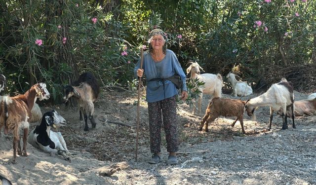 90 yaşında, her gün sürüsünün peşinde kilometrelerce yürüyor