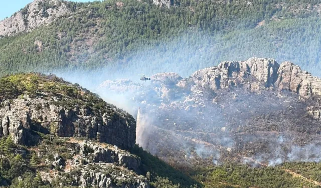 Alanya'da evler tahliye ediliyor! Alevlerle mücadele sürüyor