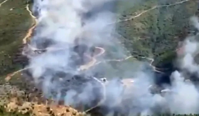 Alanya'da ormanlık alanda yangın: Ekipler seferber oldu