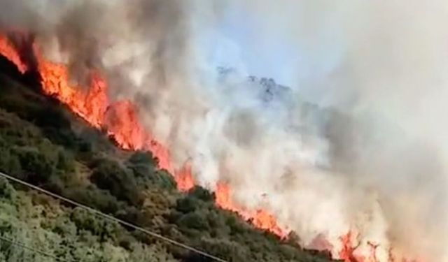 Manavgat ve Alanya Belediyesi’nden yangın uyarısı: Sıcaklık ve rüzgar riski artıyor