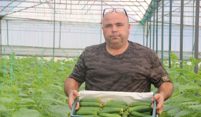 Antalya'da sera sezonu 45 derecede kapandı! Topraklar naylonla örtüldü