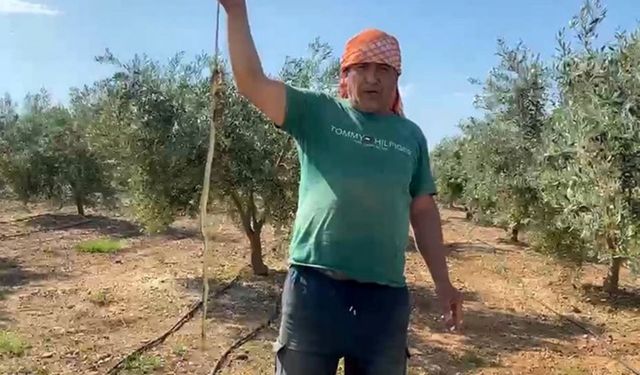 "Ben öldürdüm" dedi, 22 bin TL ceza geldi!