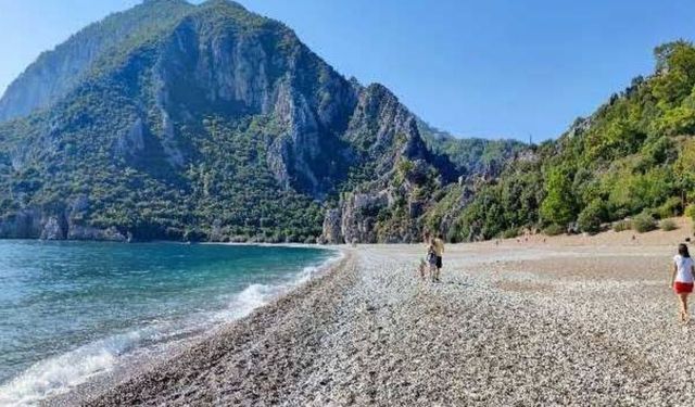 Çıralı Plajı nerede, nasıl gidilir? Denizi nasıl? Kamp yapılır mı?
