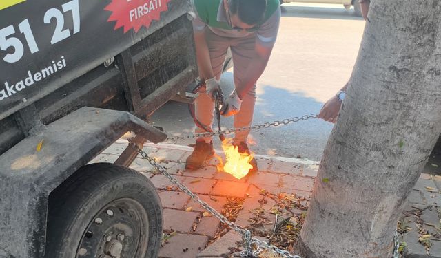 Zabıta masa ve sandalyeleri topladı, işletme sahibi kamyona çıktı!