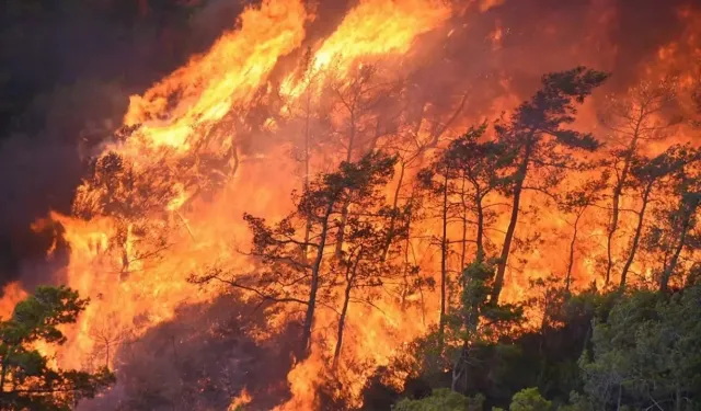 Antalya'daki Kaş ve Kumluca yangınlarında mücadele sürüyor